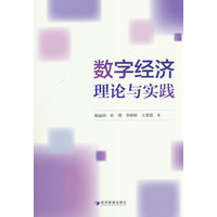 数字经济理论与实践