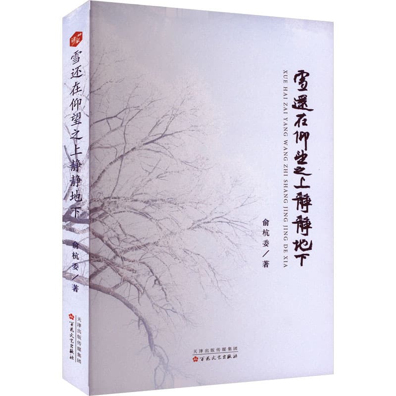 雪还在仰望之上静静地下