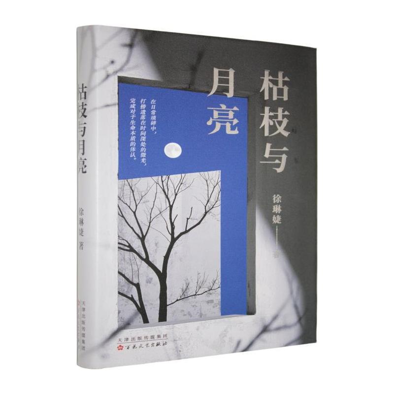 枯枝与月亮