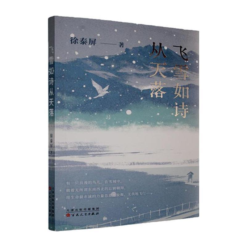 飞雪如诗从天落