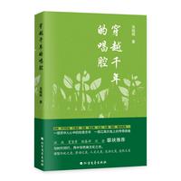 穿越千年的唱腔