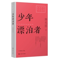 少年漂泊者