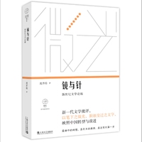 镜与针：新世纪文学论稿