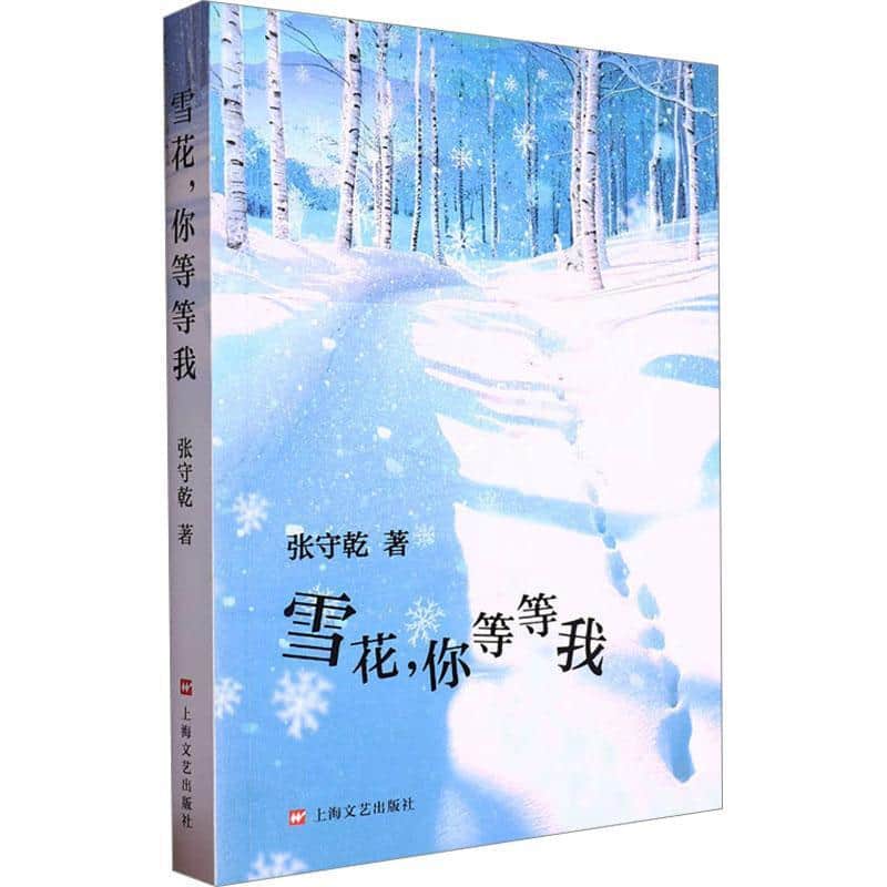 雪花，你等等我