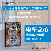 电车之心：中国动力电池传