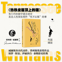 热铁皮屋顶上的猫