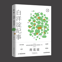 荷花淀