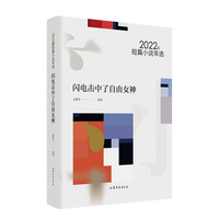 闪电击中了自由女神——2022年短篇小说年选