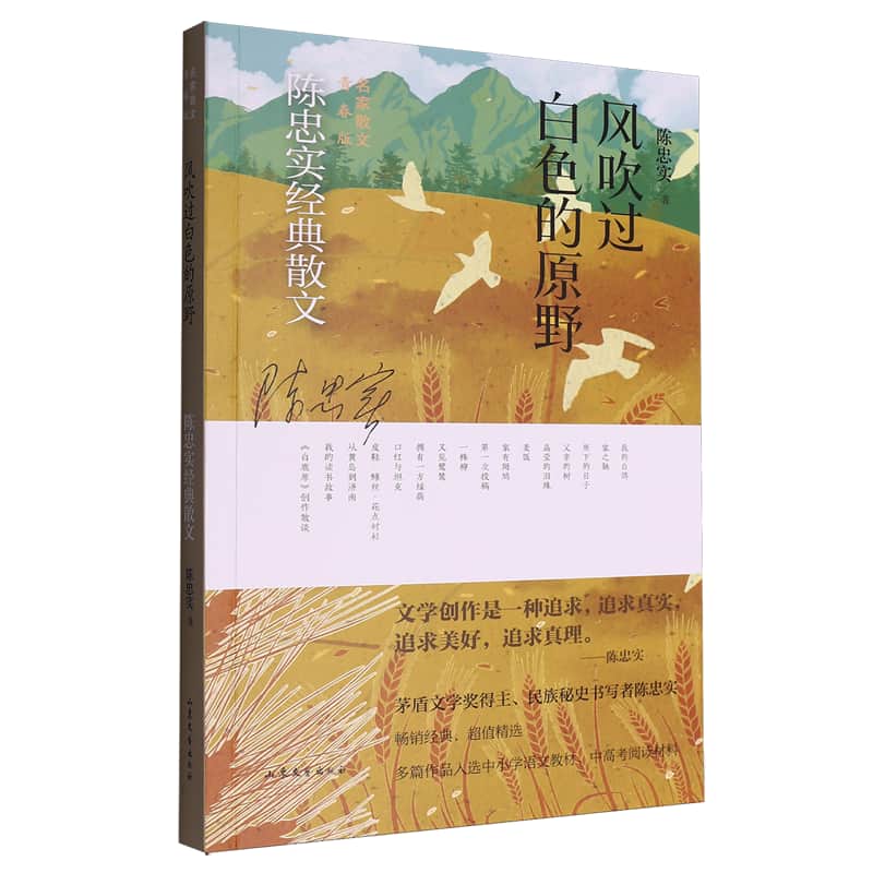 风吹过白色的原野