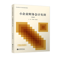 小企业财务会计实训