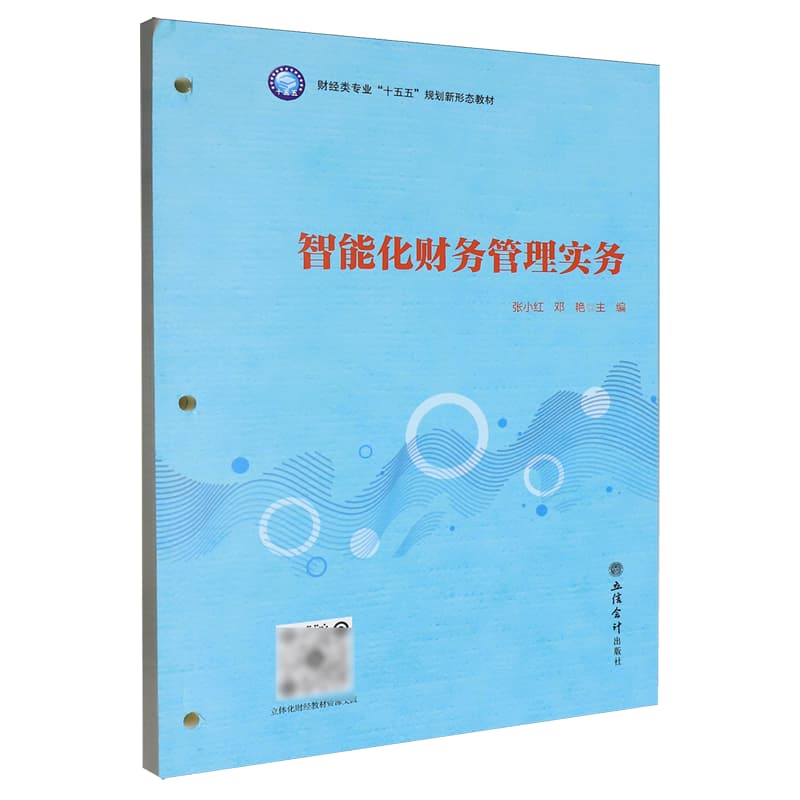 智能化财务管理实务