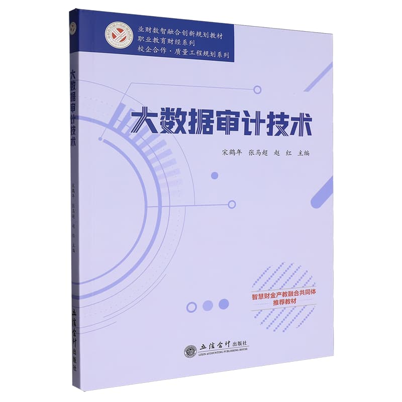 大数据审计技术