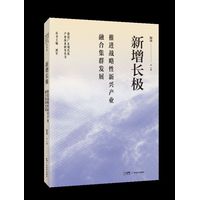 新增长极——推进战略性新兴产业融合集群发展