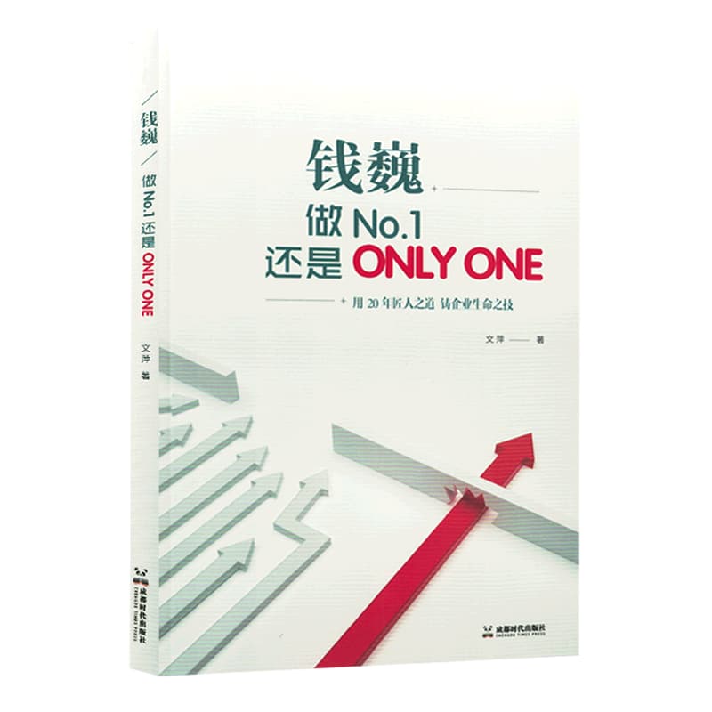 钱巍——做NO. 1还是ONLY ONE——用20年匠人之道 铸企业生命之技