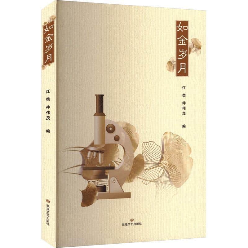 如金岁月