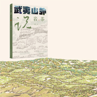 武夷山外说岩茶