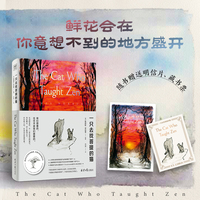 一只去找菩提的猫