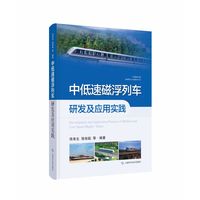 长沙磁浮快线运营管理实践