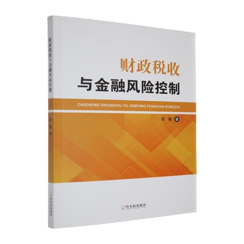 财政税收与金融风险控制