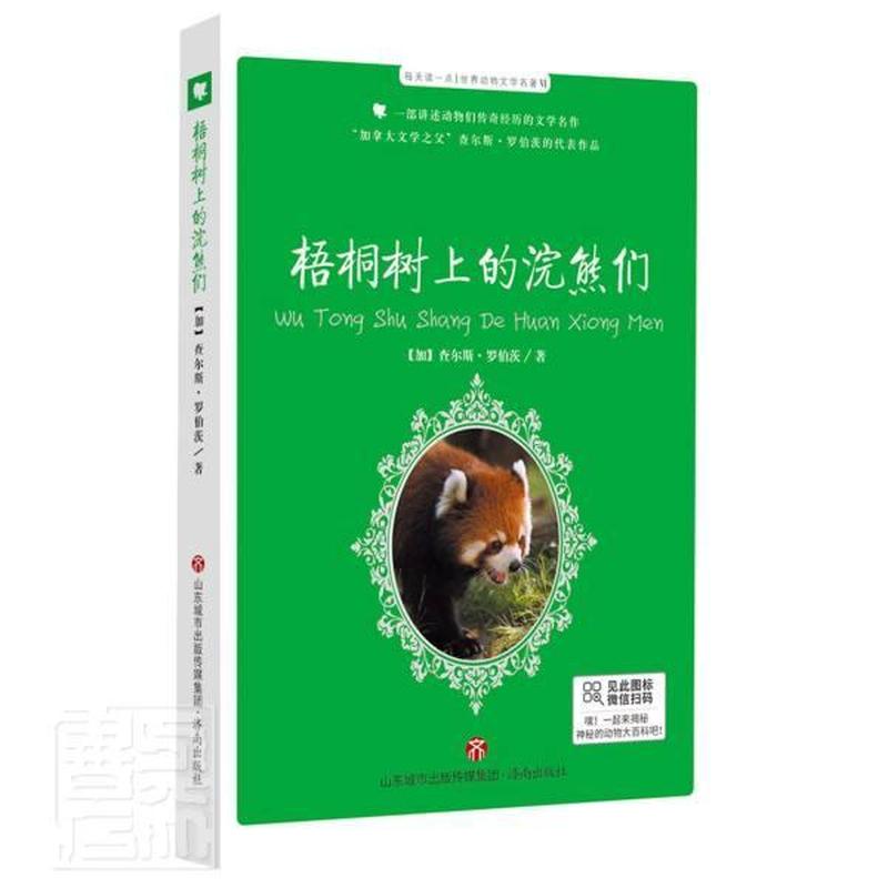 梧桐树上的浣熊们