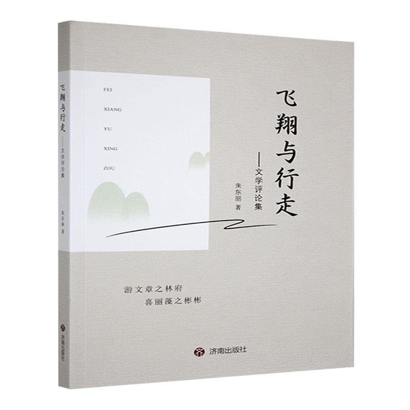 飞翔与行走——文学评论集