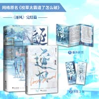 逐风——完结篇