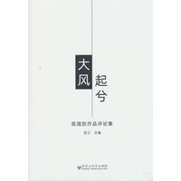 大风起兮——陈国凯作品评论集