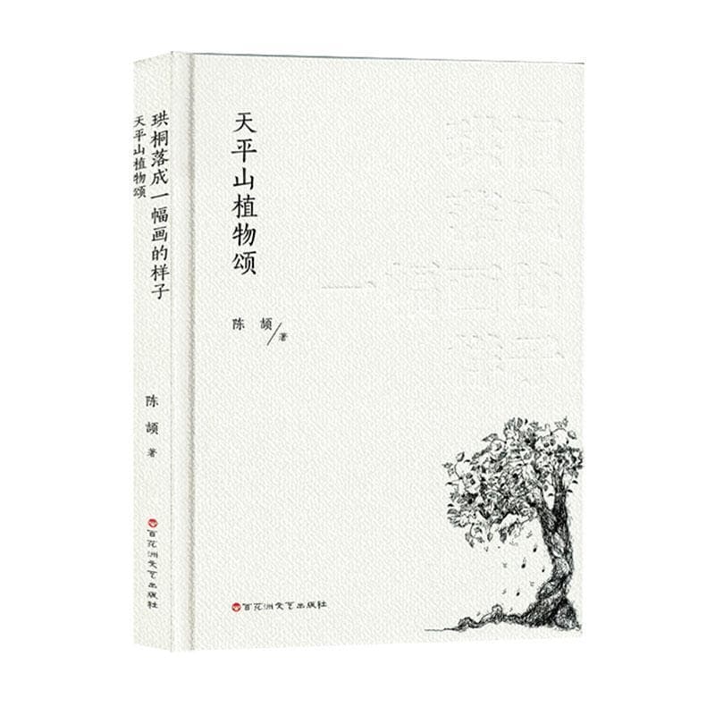 珙桐落成一幅画的样子——天平山植物颂
