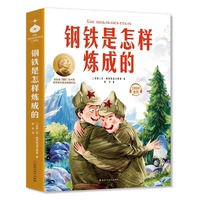 钢铁是怎样炼成的