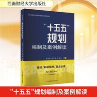 “十五五”规划编制及案例解读