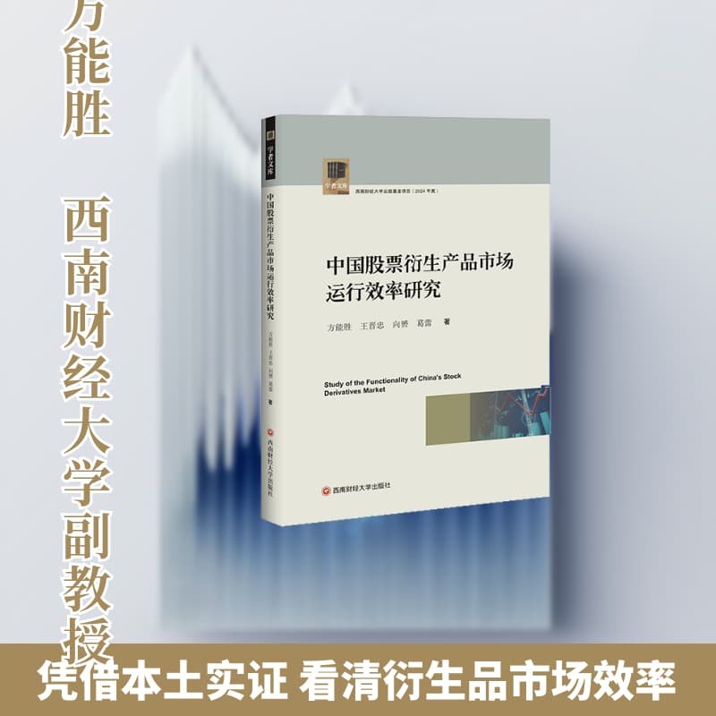 中国股票衍生产品市场运行效率研究