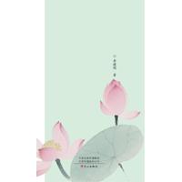 开在春天里的莲