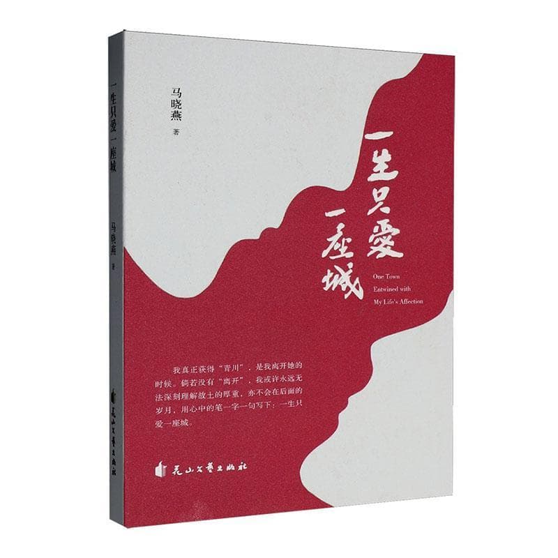 一生只爱一座城