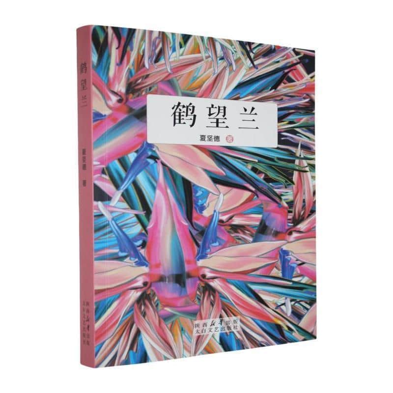 鹤望兰