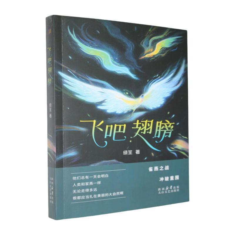 飞吧, 翅膀