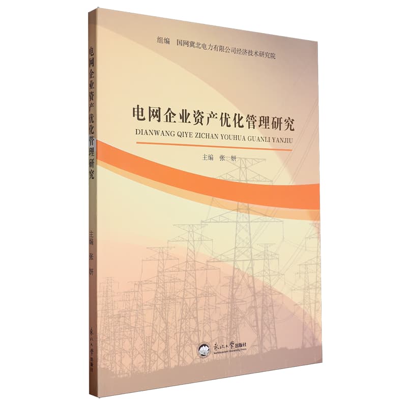 电网企业资产优化管理研究