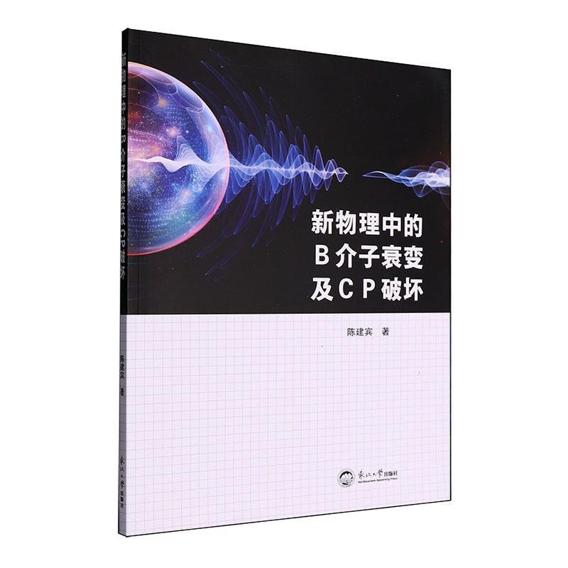 新物理中的B介子衰变及CP破坏