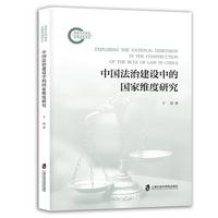 中国法治建设中的国家维度研究