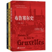 布鲁塞尔史