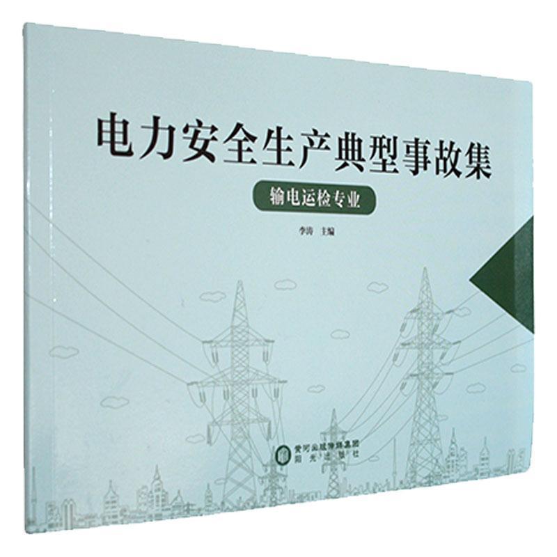 电力安全生产典型事故集:输电运检专业