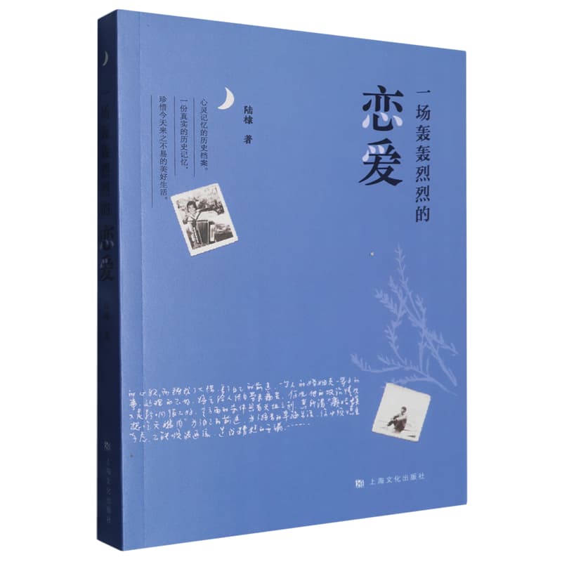 一场轰轰烈烈的恋爱