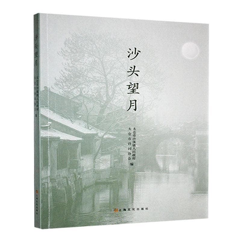 沙头望月