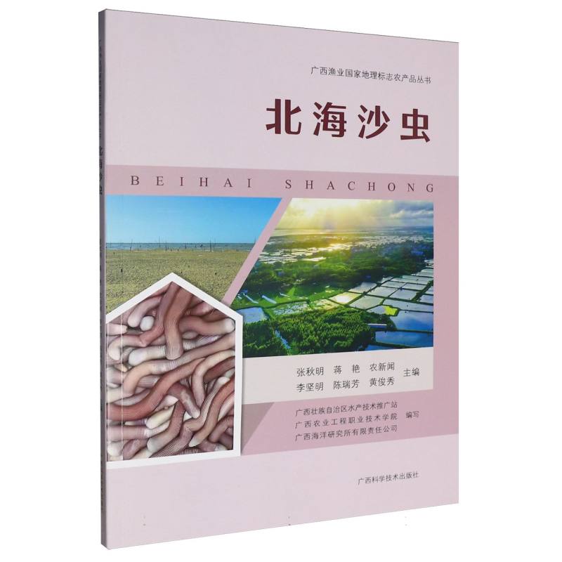 北海沙虫