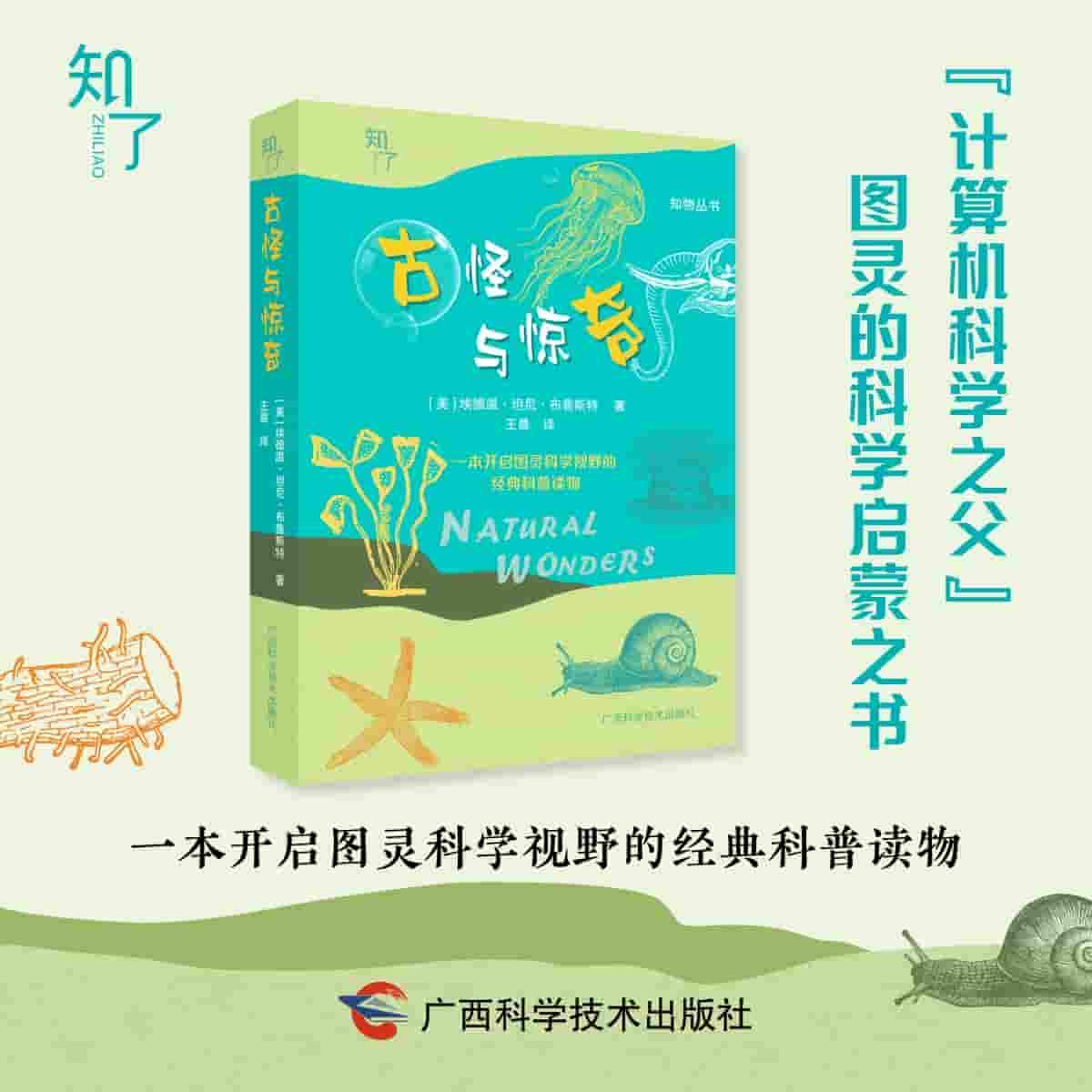 古怪与惊奇