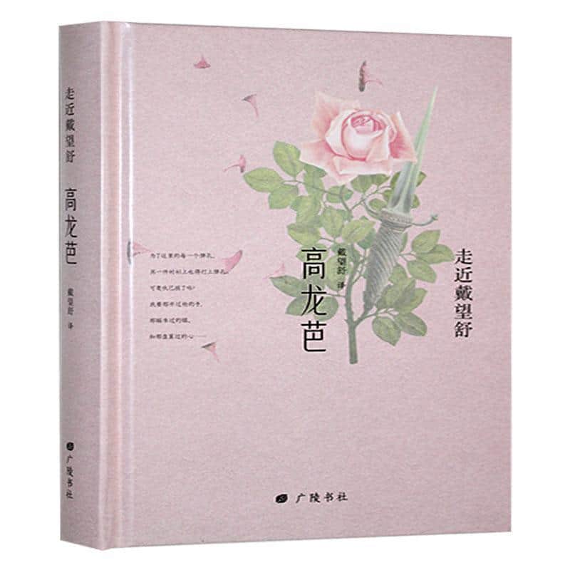 高龙芭
