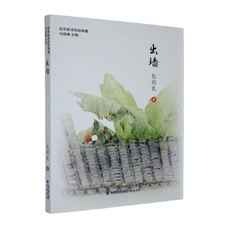 出墙