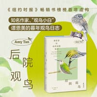 后院观鸟