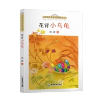 花背小乌龟