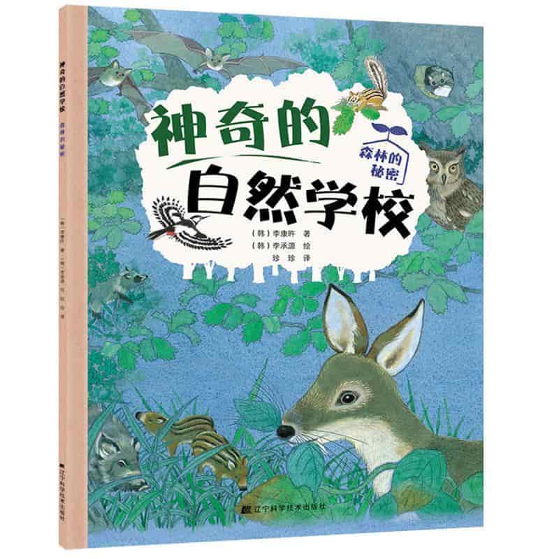 神奇的自然学校:森林的秘密
