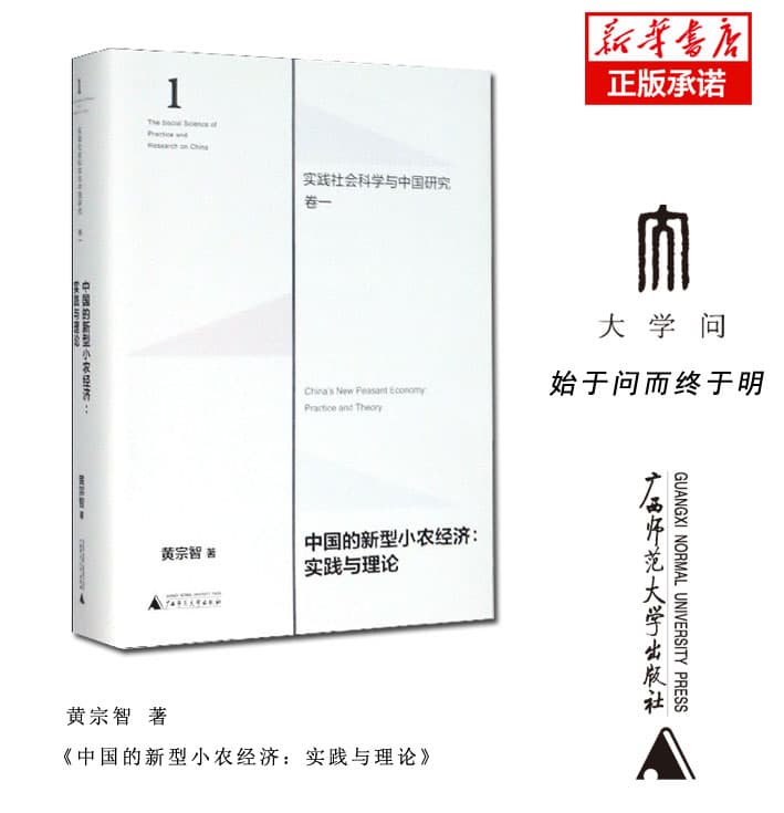 中国的新型小农经济——实践与理论——practice and theory